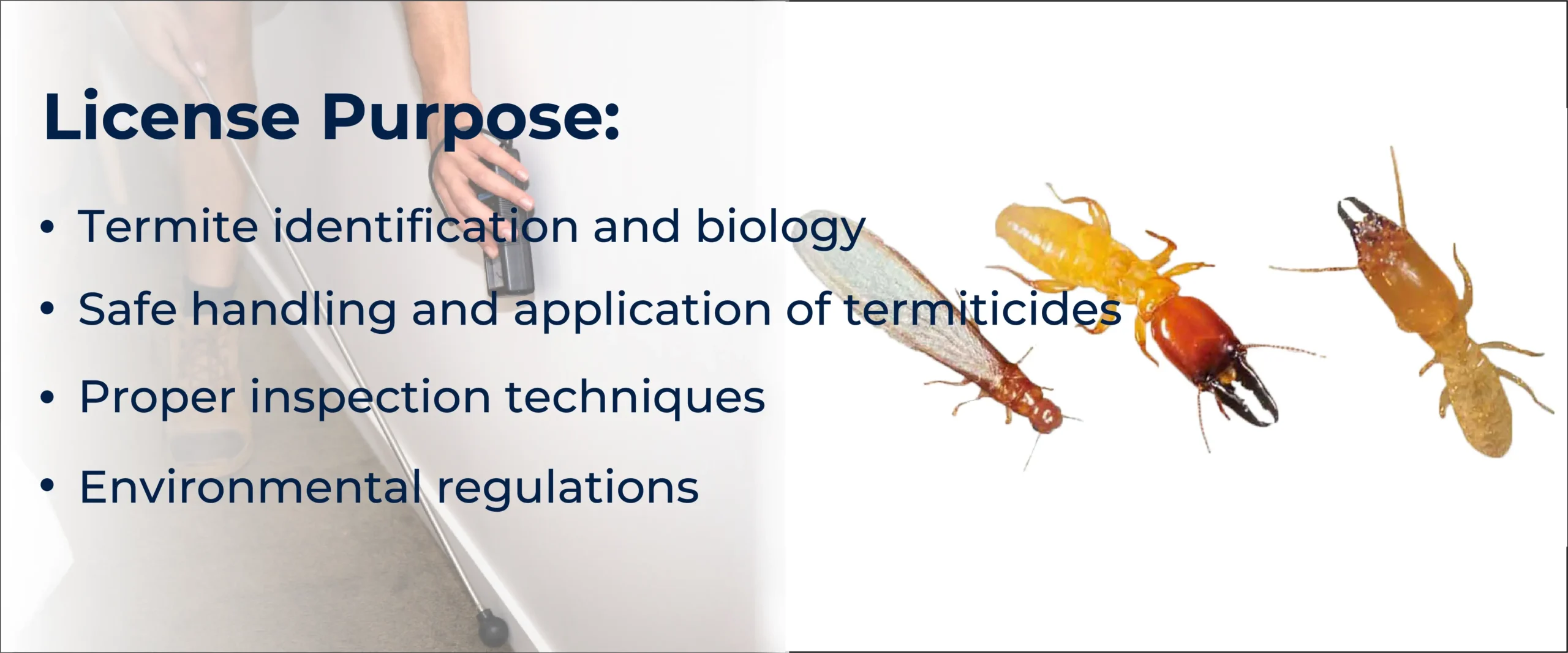 Termite License Purpose