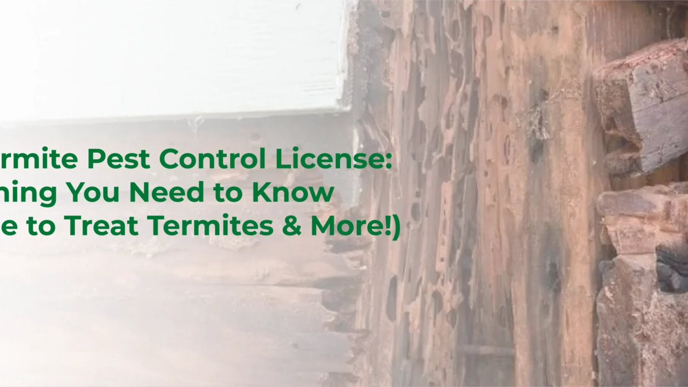 NYC Termite Pest Control License