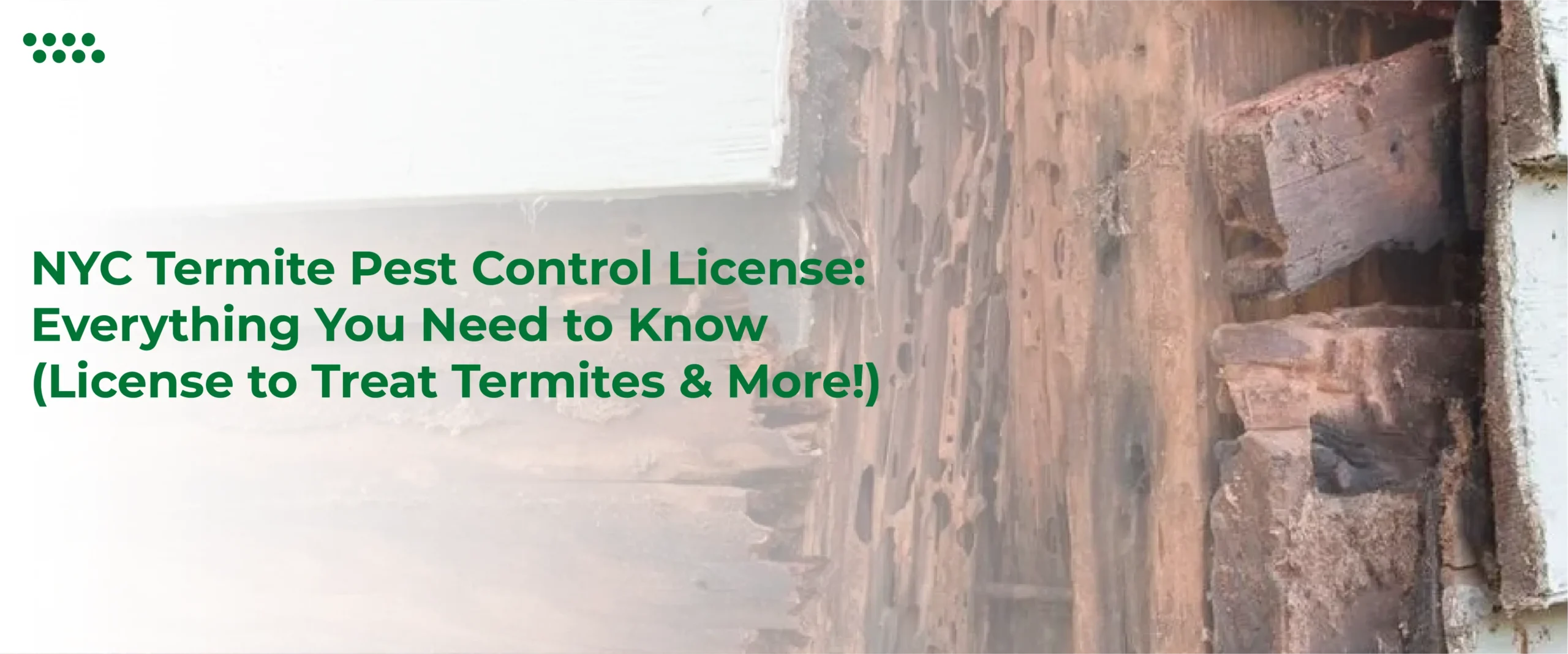 NYC Termite Pest Control License