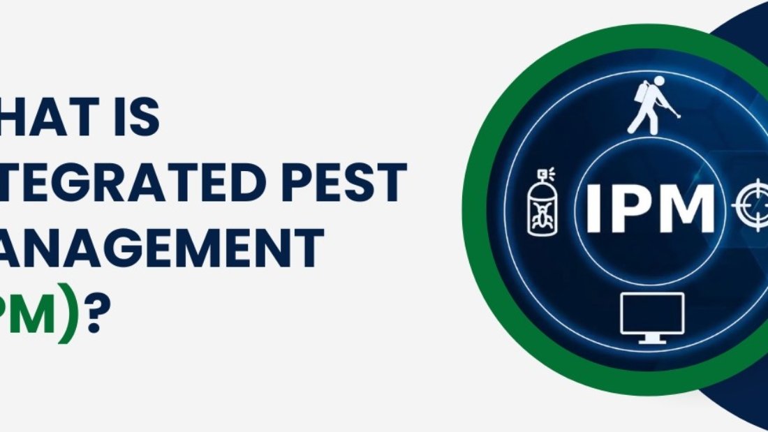 What is Integrated Pest Management (IPM)? Text with icons representing pest control.