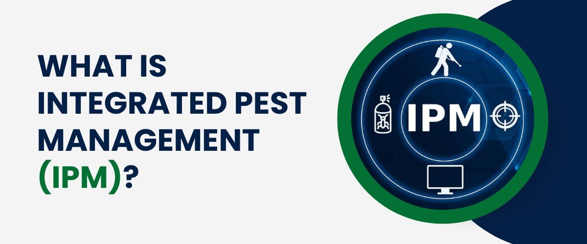 What is Integrated Pest Management (IPM)? Text with icons representing pest control.